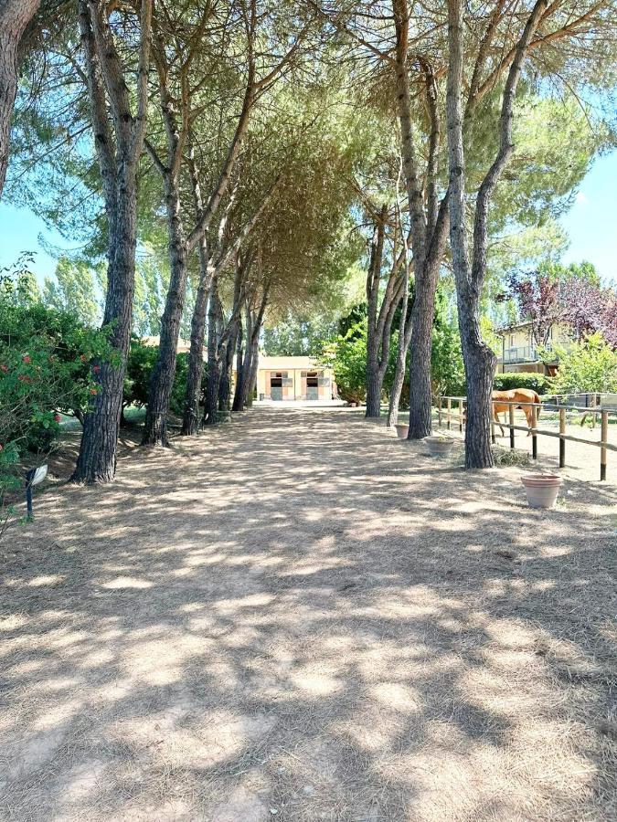 Turfrose Di San Rossore A Pisa By Zoom In Earth Εξωτερικό φωτογραφία