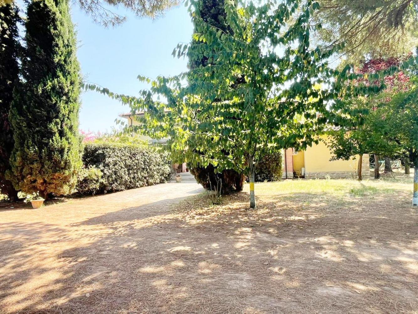 Turfrose Di San Rossore A Pisa By Zoom In Earth Εξωτερικό φωτογραφία